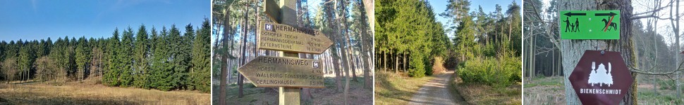 Vom Bienenschmidt auf dem Hermannsweg zur Dörenschlucht/ GPS-Wanderung